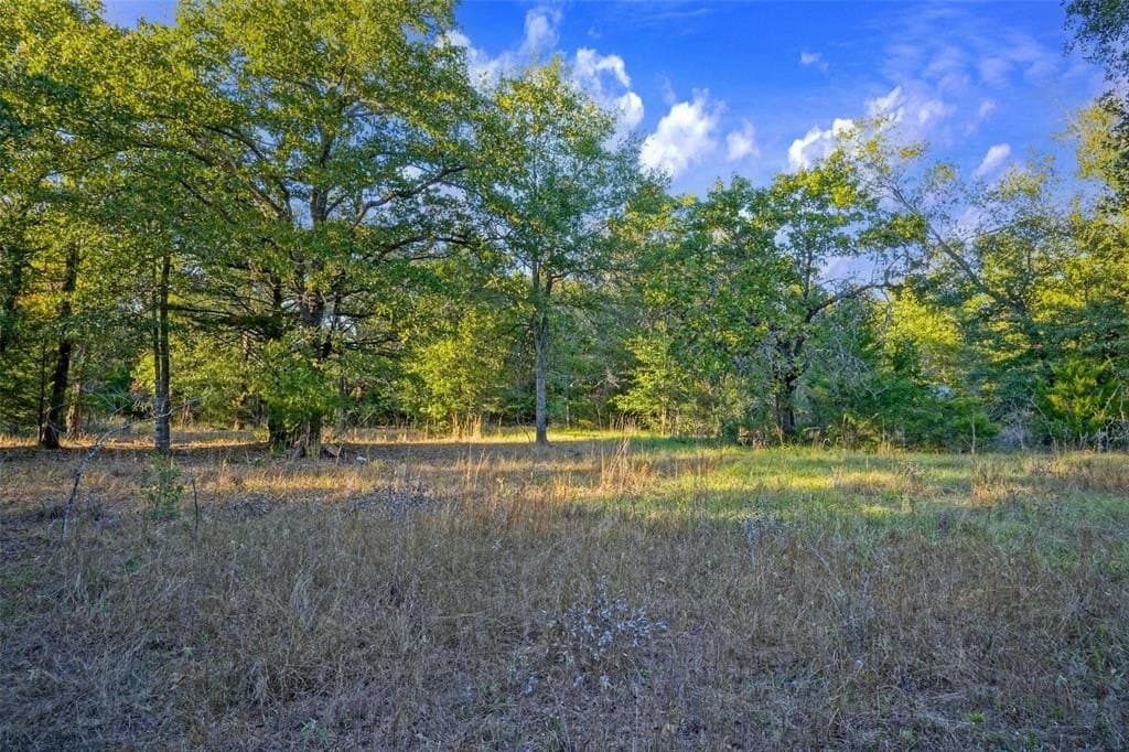 45 acres in Freestone County - photo 2