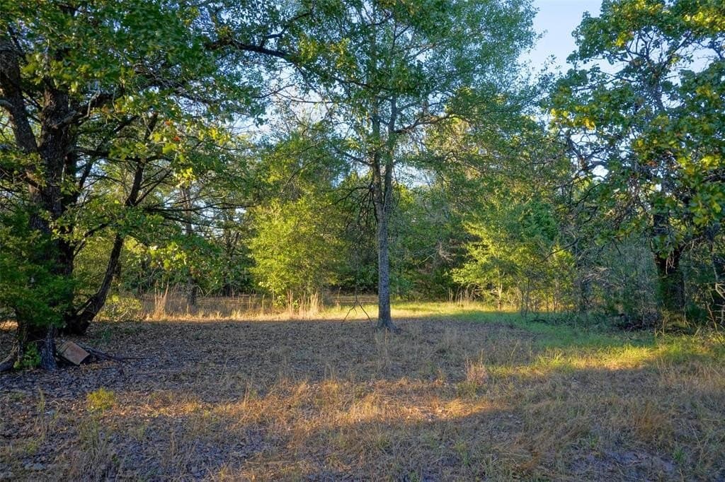 45 acres in Freestone County - photo 7