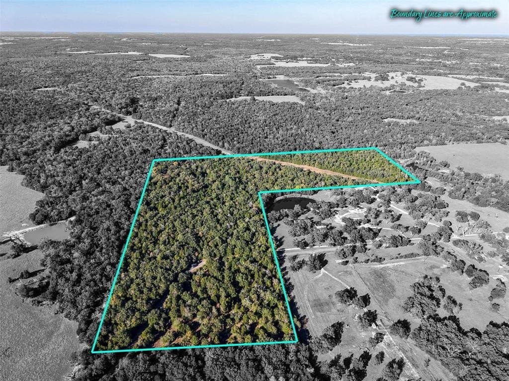 45 acres in Freestone County - photo 32