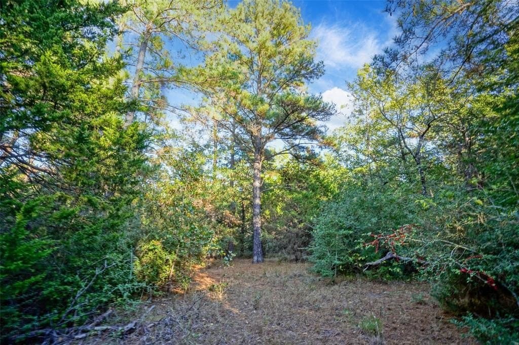 45 acres in Freestone County - photo 26