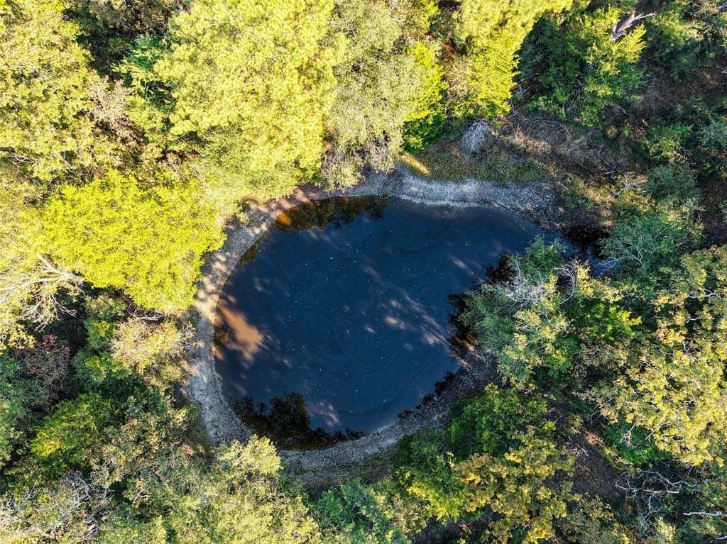45 acres in Freestone County - photo 19