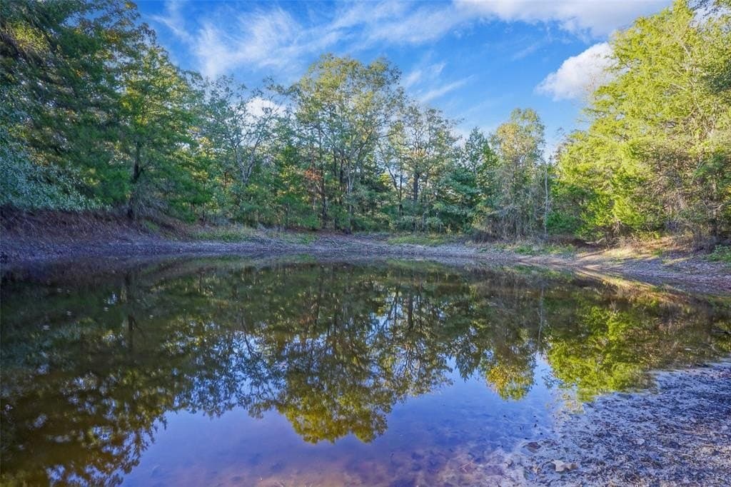 45 acres in Freestone County - photo 4