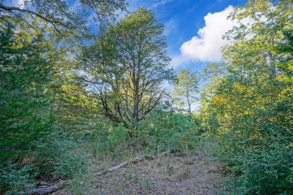 45 acres in Freestone County - photo 12