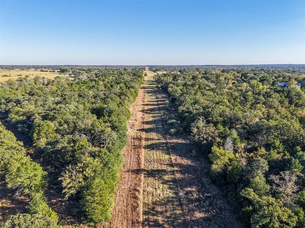 45 acres in Freestone County - photo 23