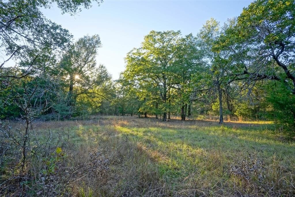 45 acres in Freestone County - photo 8
