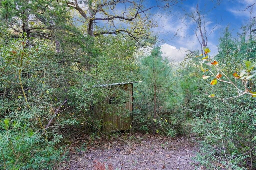 45 acres in Freestone County - photo 5