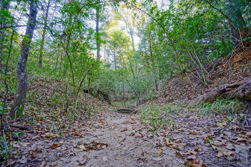 45 acres in Freestone County - photo 24