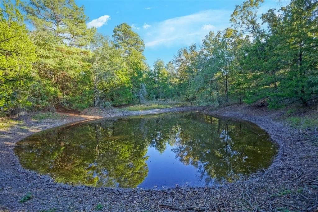 45 acres in Freestone County - photo 29
