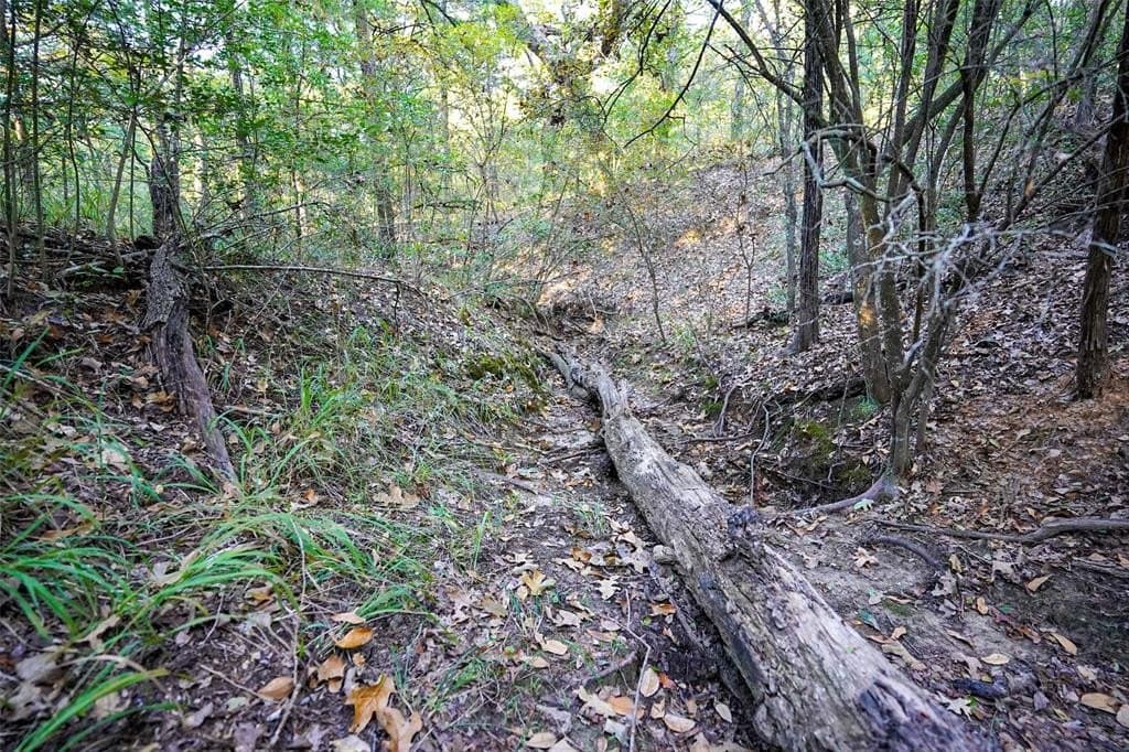 45 acres in Freestone County - photo 11