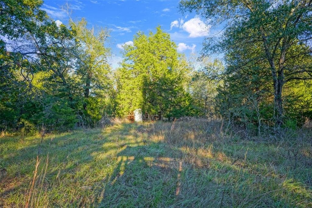 45 acres in Freestone County - photo 27
