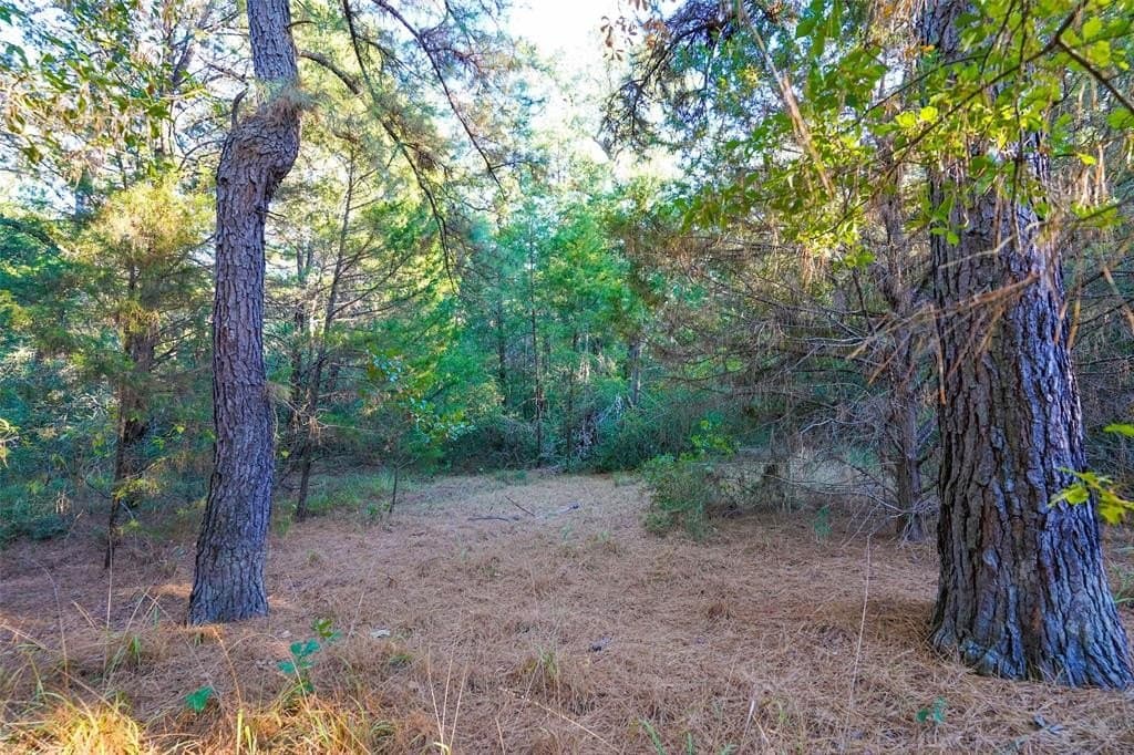 45 acres in Freestone County - photo 10