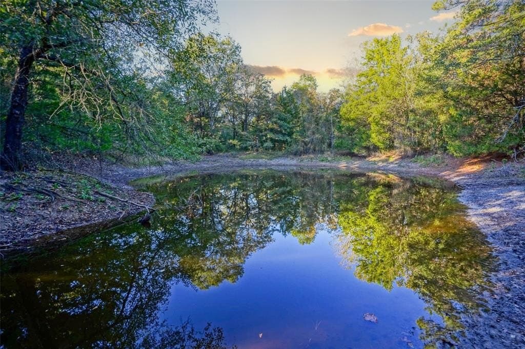 45 acres in Freestone County - photo 9
