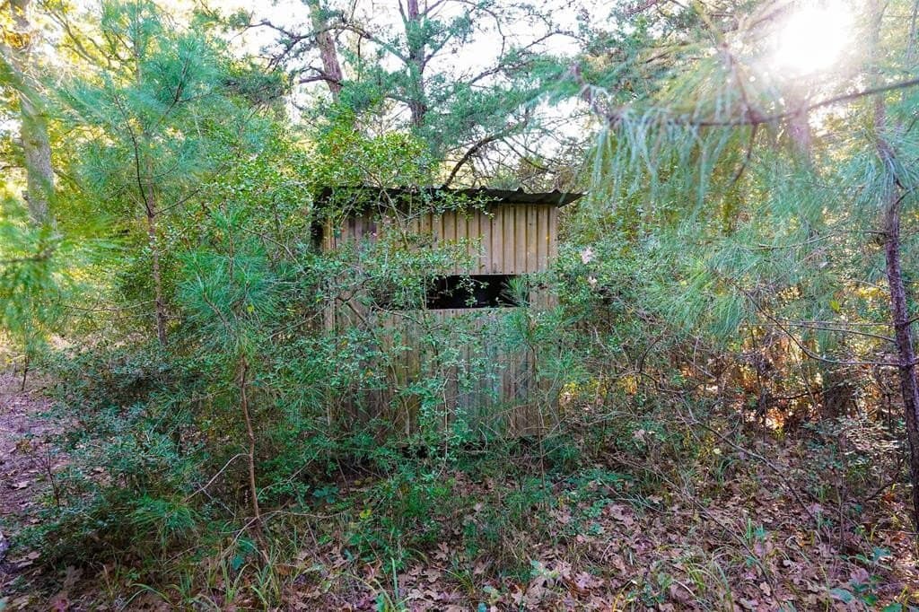 45 acres in Freestone County - photo 20