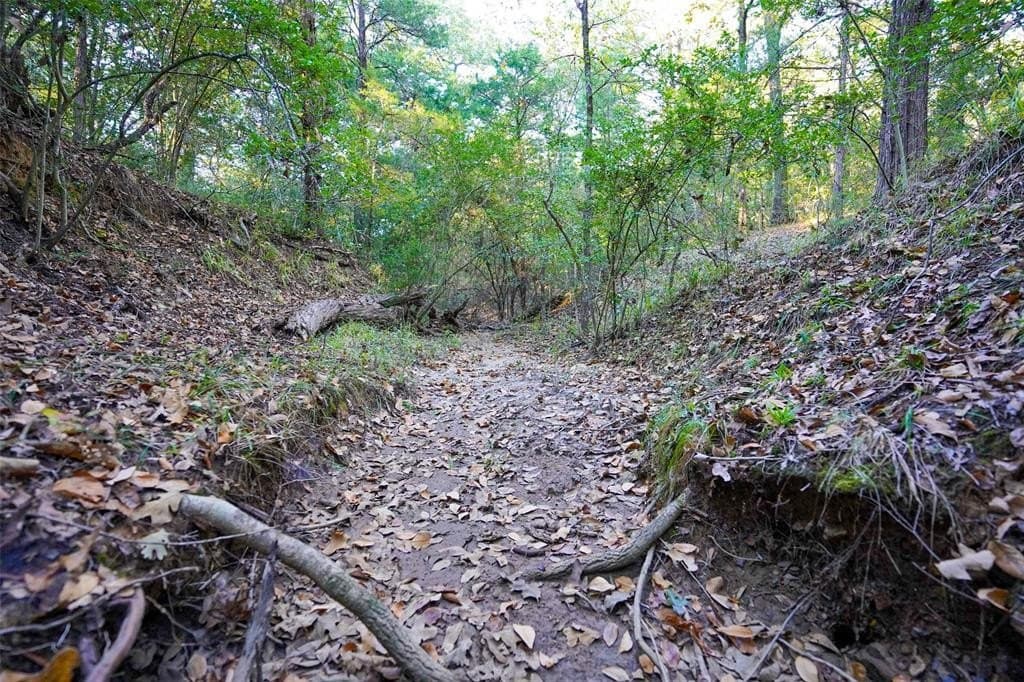 45 acres in Freestone County - photo 25
