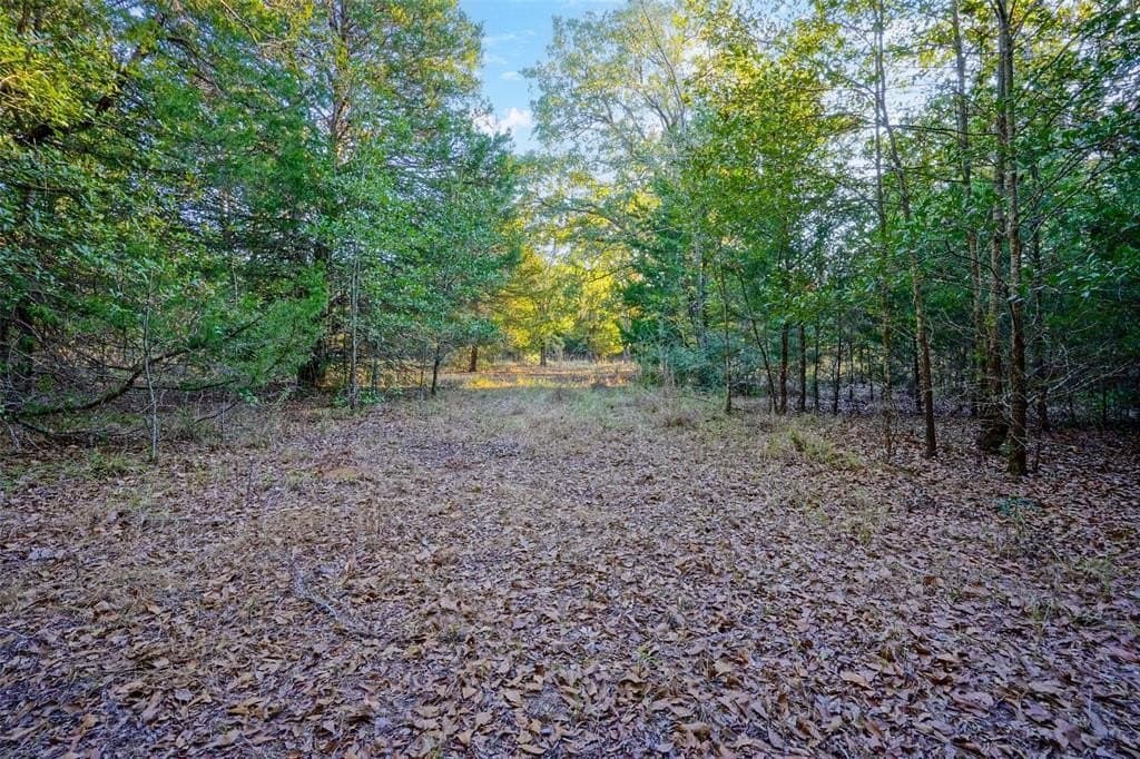 45 acres in Freestone County - photo 13
