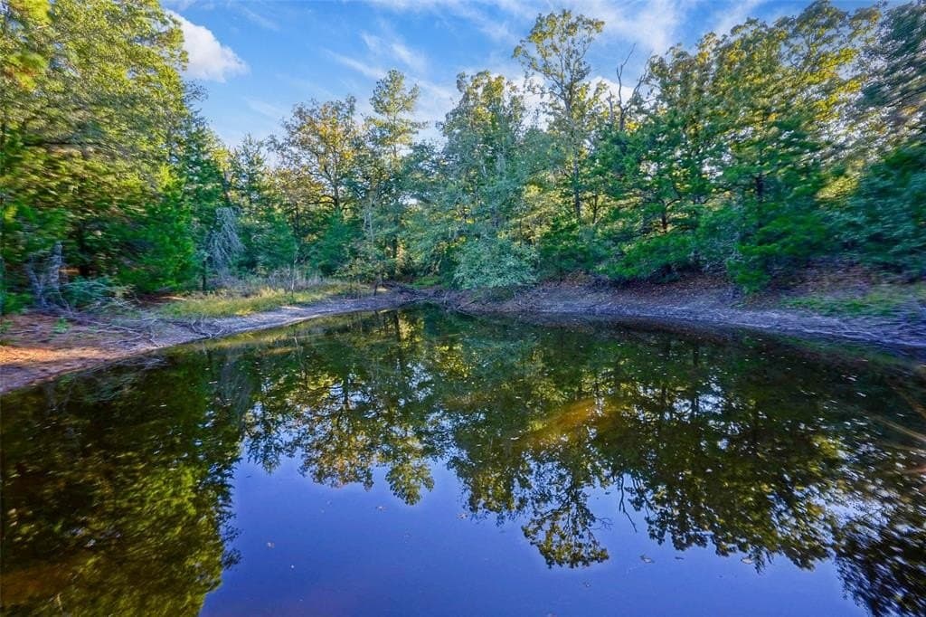 45 acres in Freestone County - photo 17