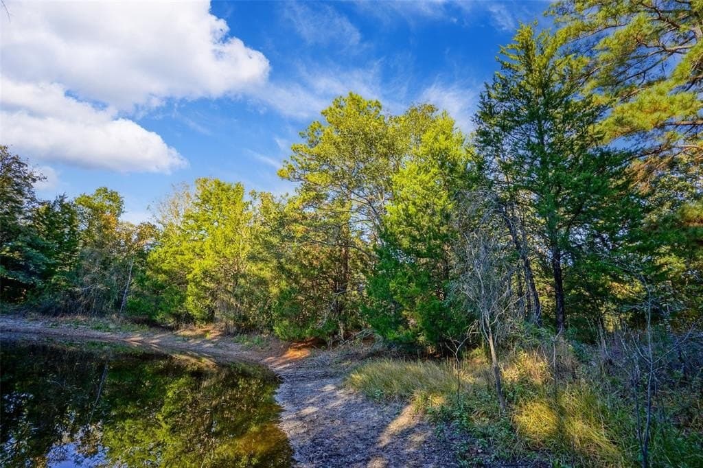 45 acres in Freestone County - photo 18
