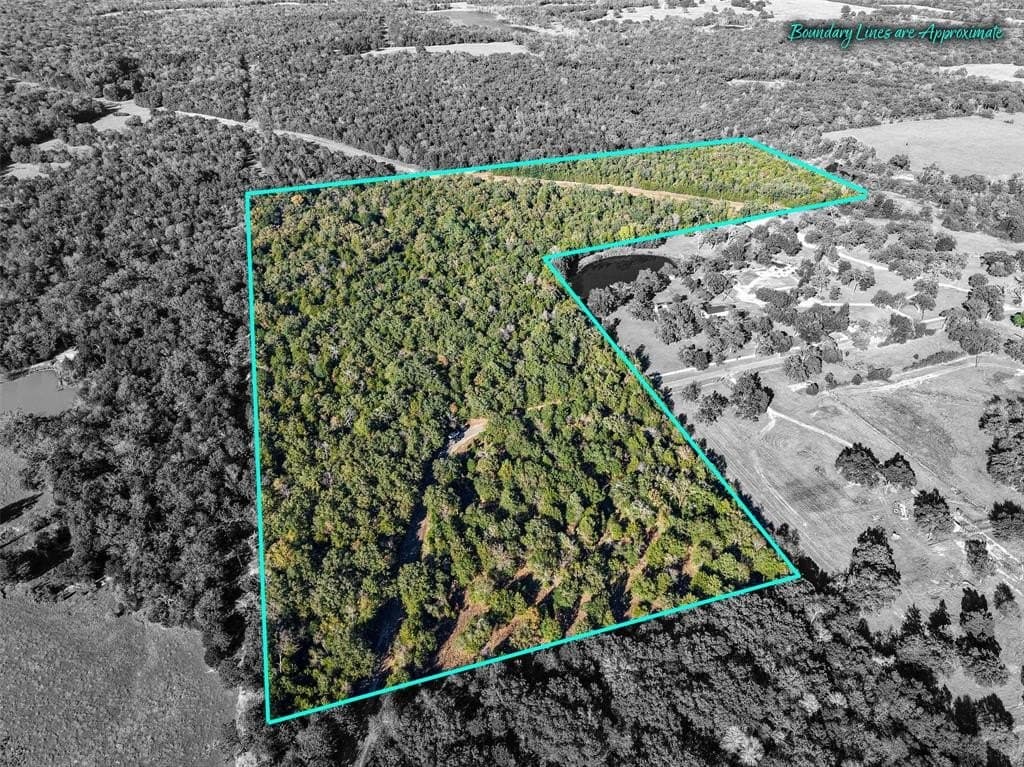 45 acres in Freestone County - photo 3