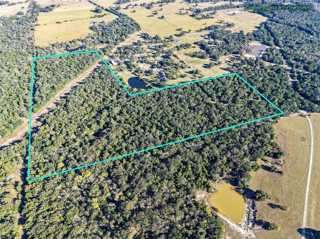 45 acres in Freestone County - photo 16