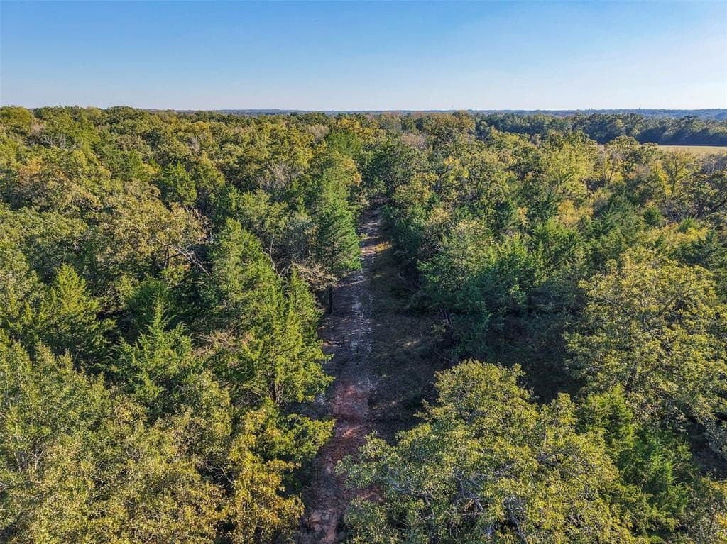 45 acres in Freestone County - photo 22