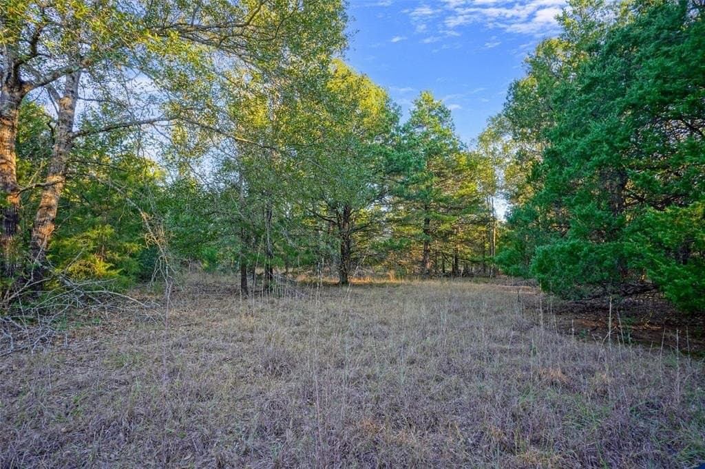 45 acres in Freestone County - photo 28