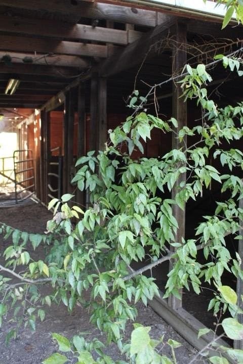 10.01 acres in Kaufman County - photo 28
