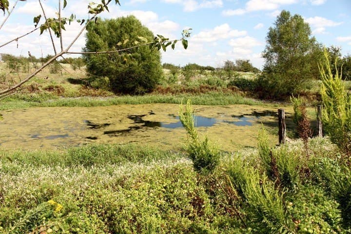 10.01 acres in Kaufman County - photo 30
