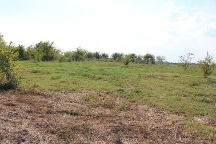 10.01 acres in Kaufman County - photo 23