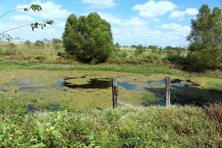 10.01 acres in Kaufman County - photo 31