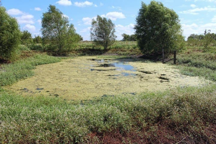 10.01 acres in Kaufman County - photo 29