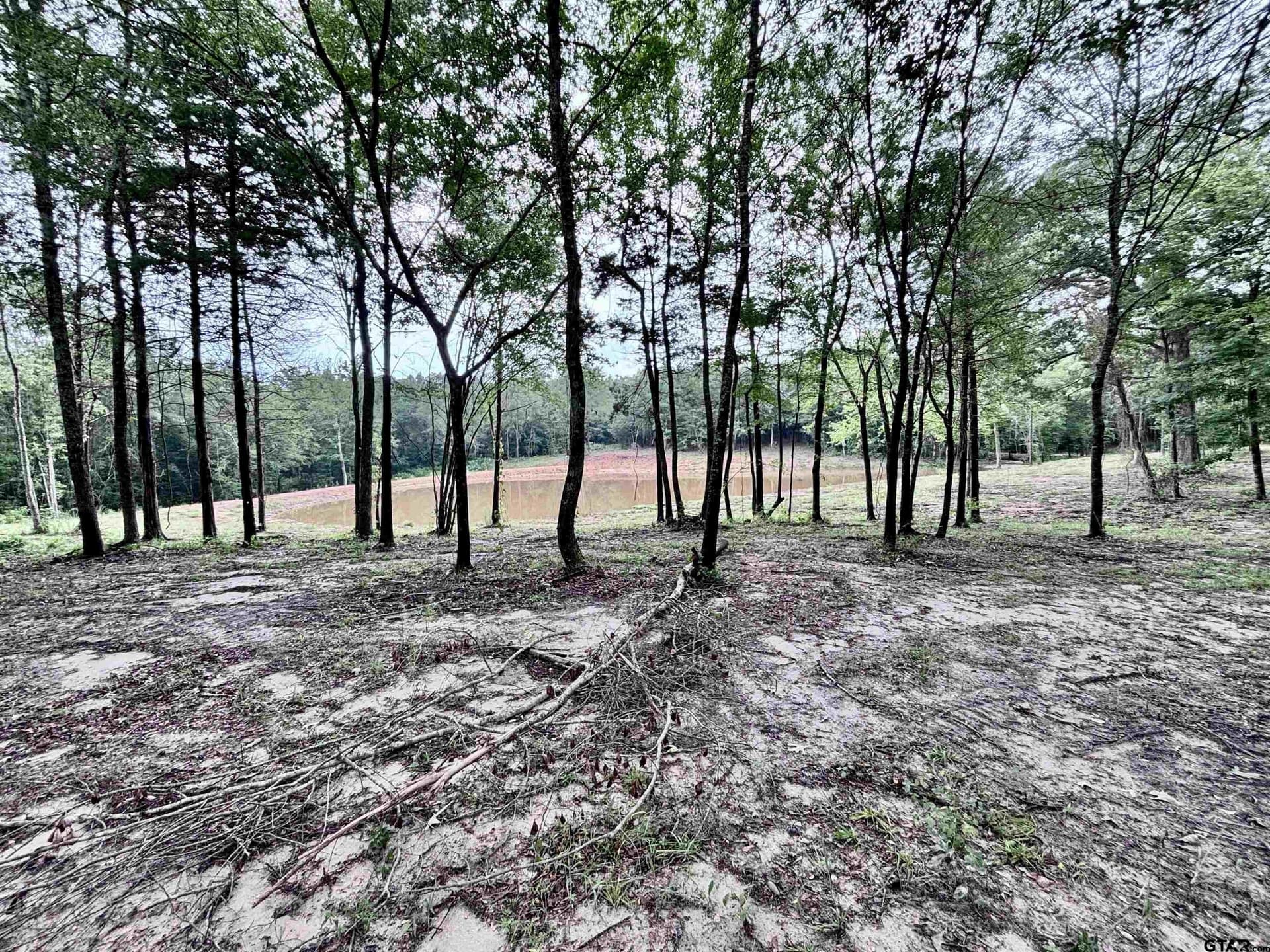 36.91 acres in Upshur County - photo 13