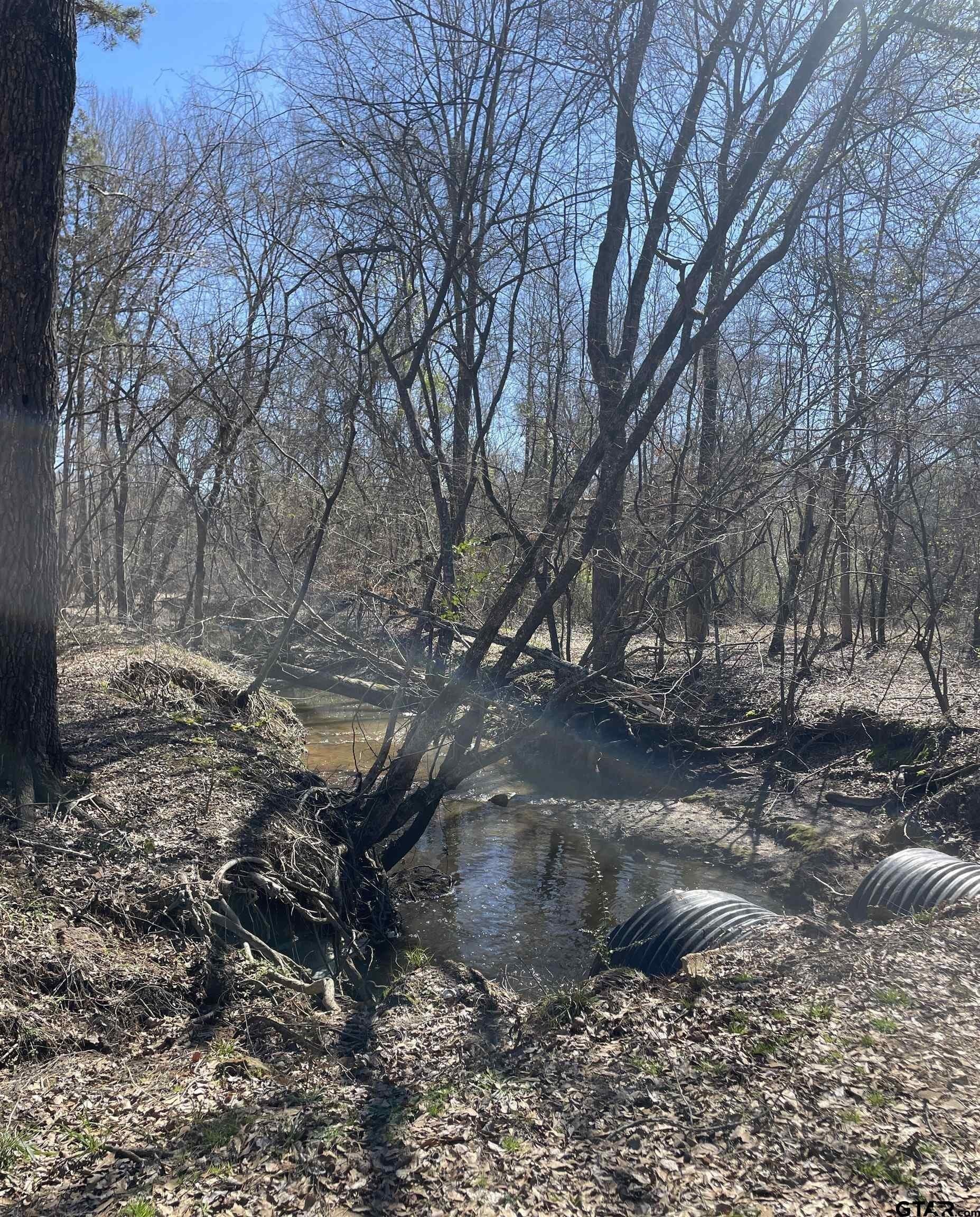 36.91 acres in Upshur County - photo 17