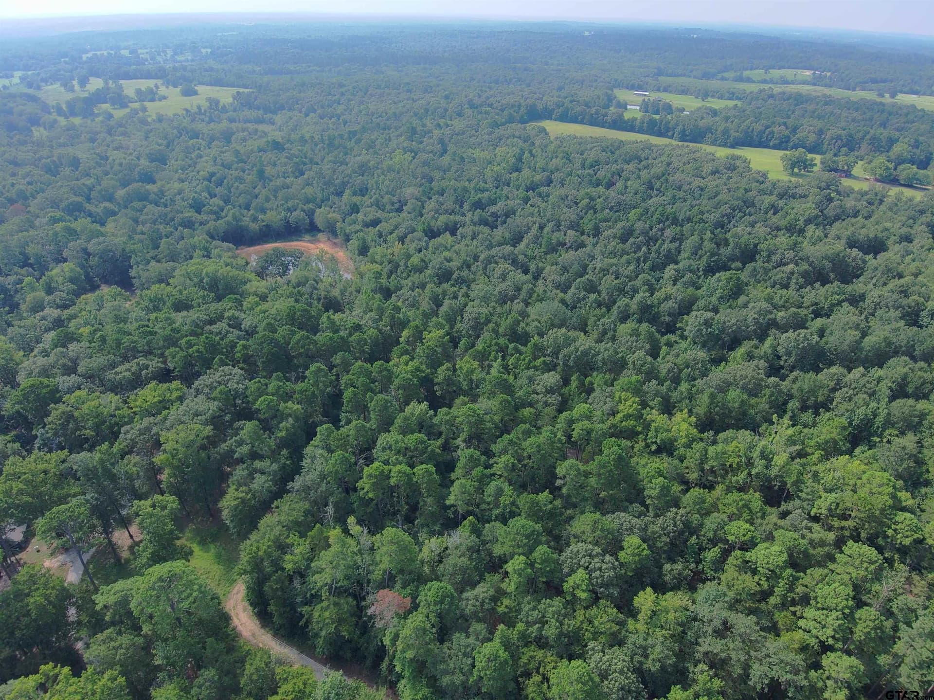 36.91 acres in Upshur County - photo 8