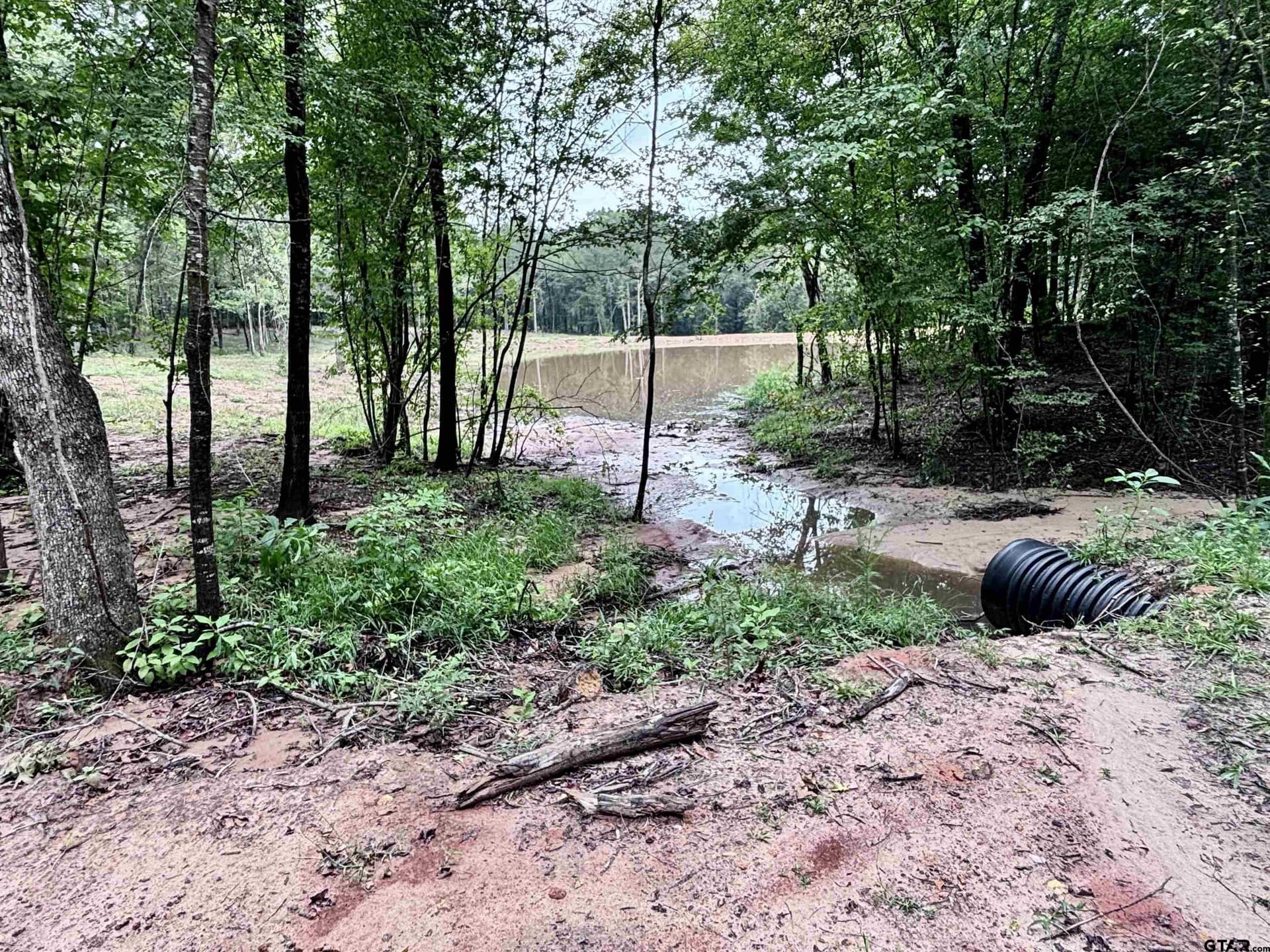 36.91 acres in Upshur County - photo 15