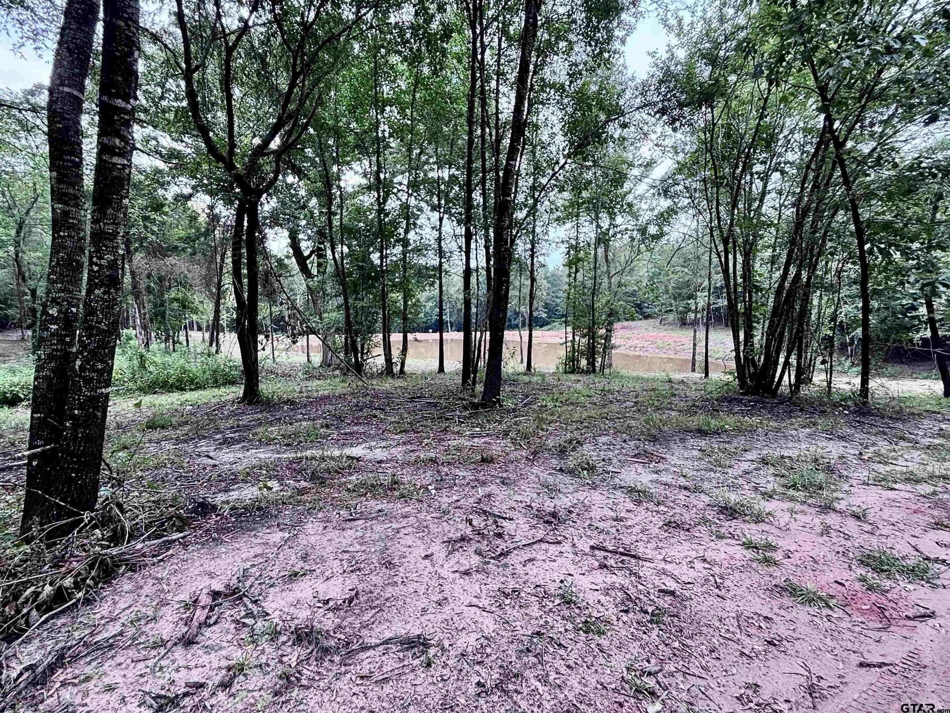36.91 acres in Upshur County - photo 19
