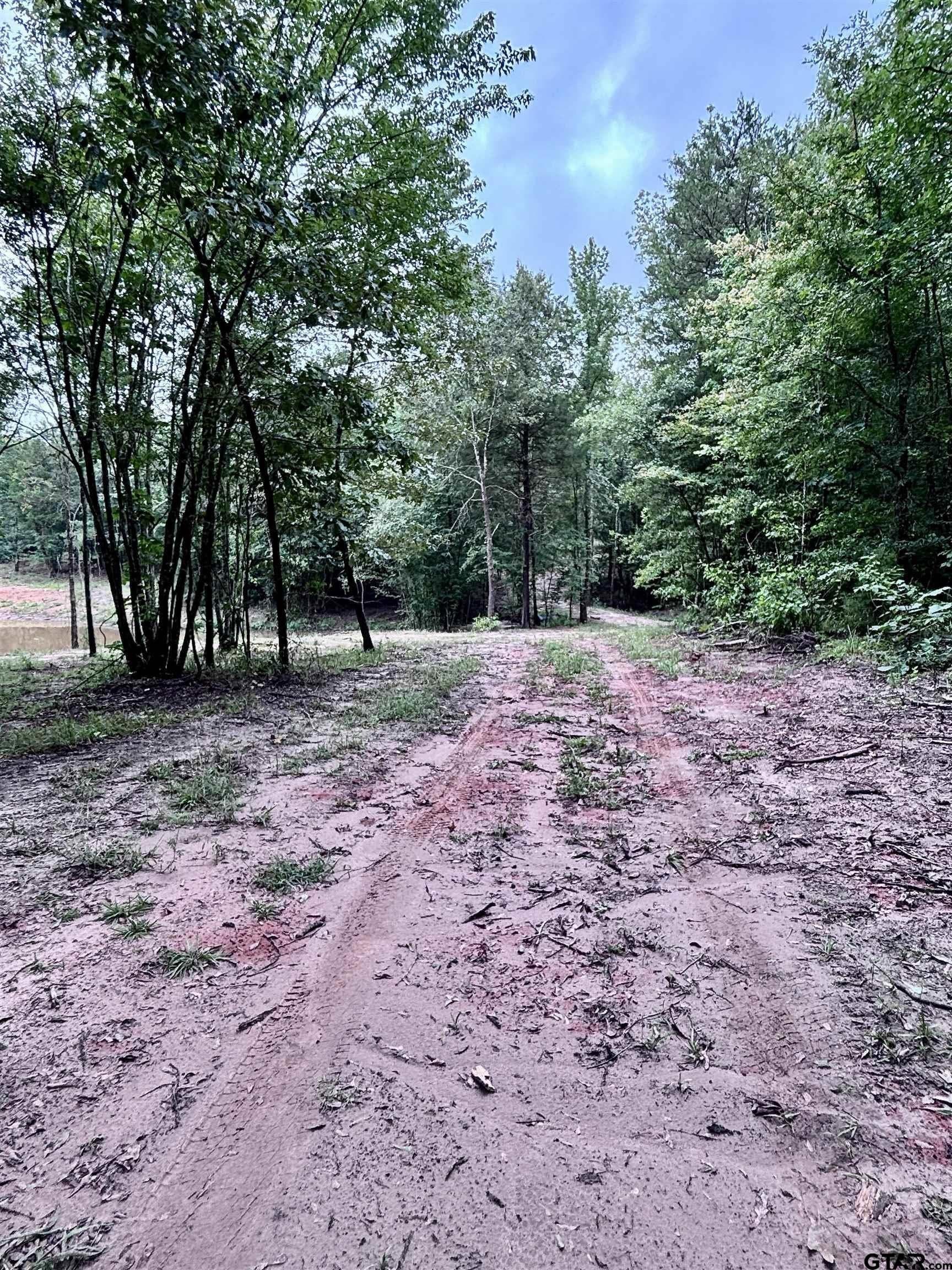 36.91 acres in Upshur County - photo 11