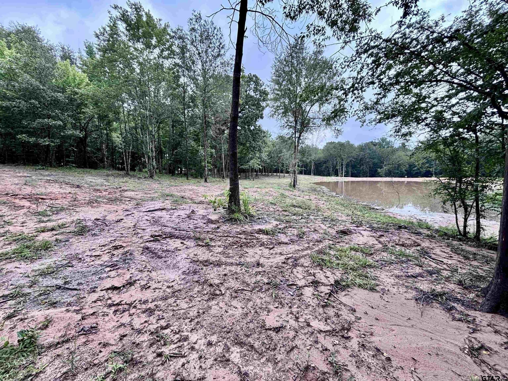 36.91 acres in Upshur County - photo 18