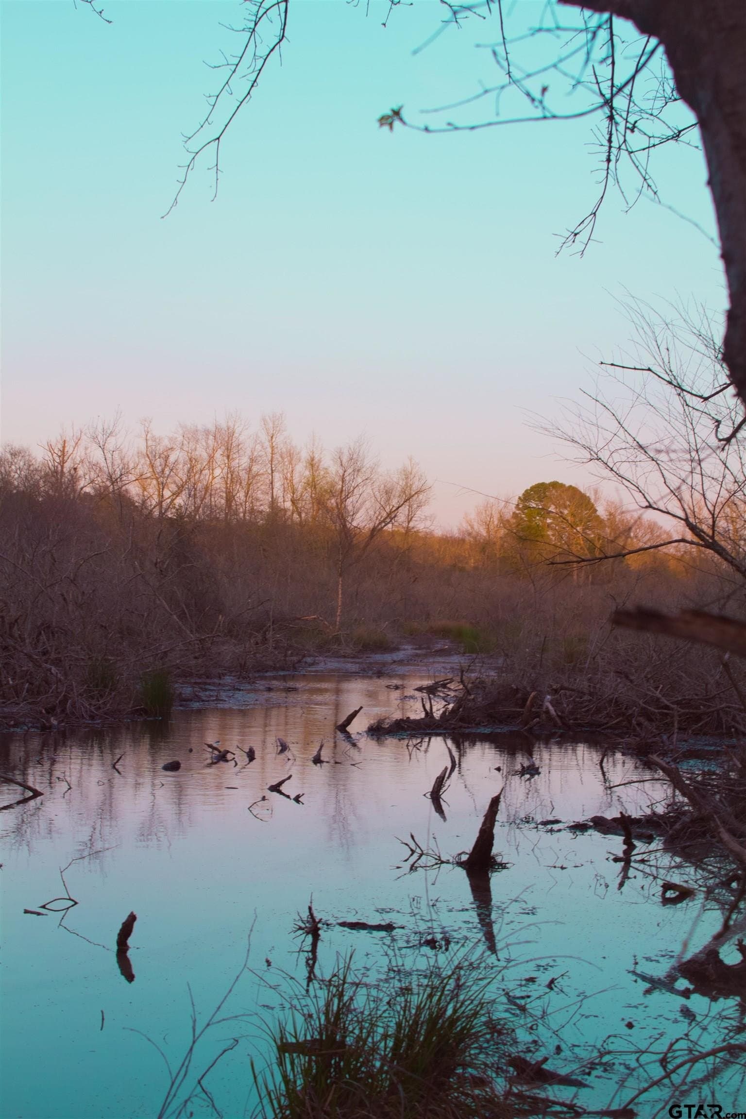 36.91 acres in Upshur County - photo 12