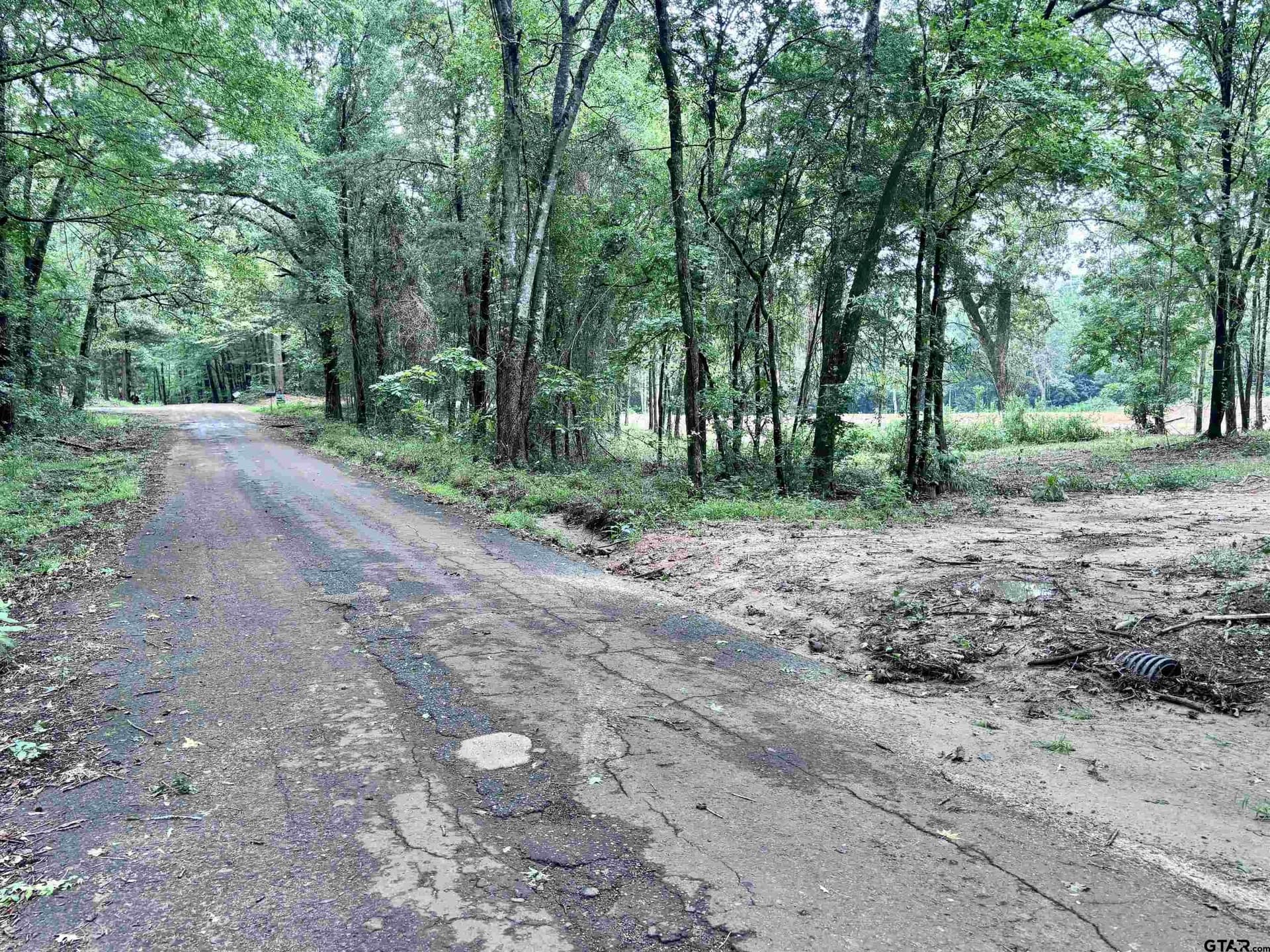 36.91 acres in Upshur County - photo 10