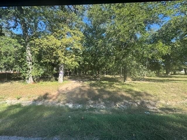 0.99 acres in Parker County - photo 4