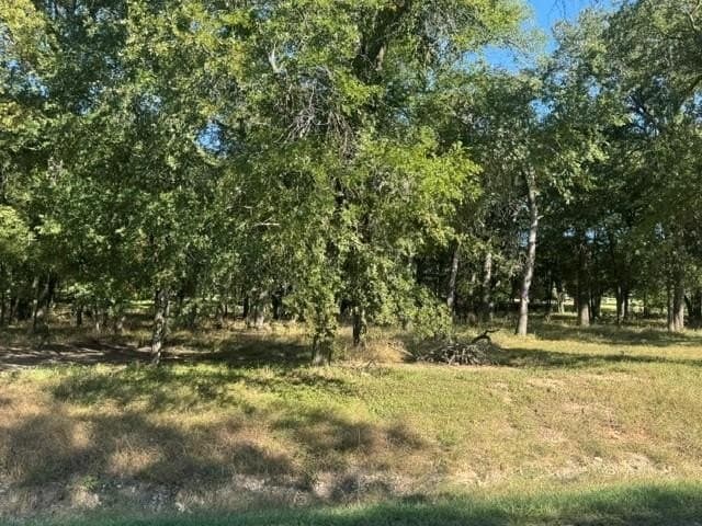 0.99 acres in Parker County - photo 2