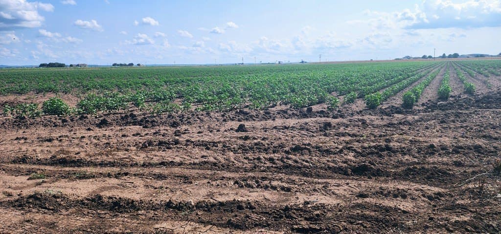 13.74 acres in Tom Green County - photo 5