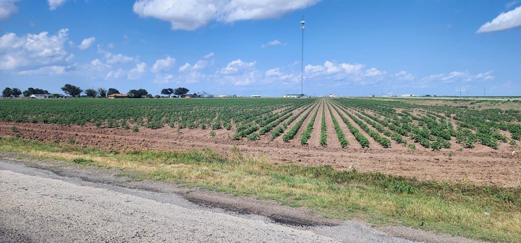 13.74 acres in Tom Green County - photo 4