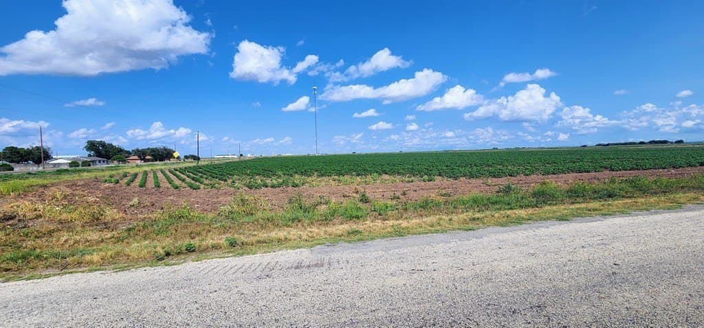 13.74 acres in Tom Green County - photo 3