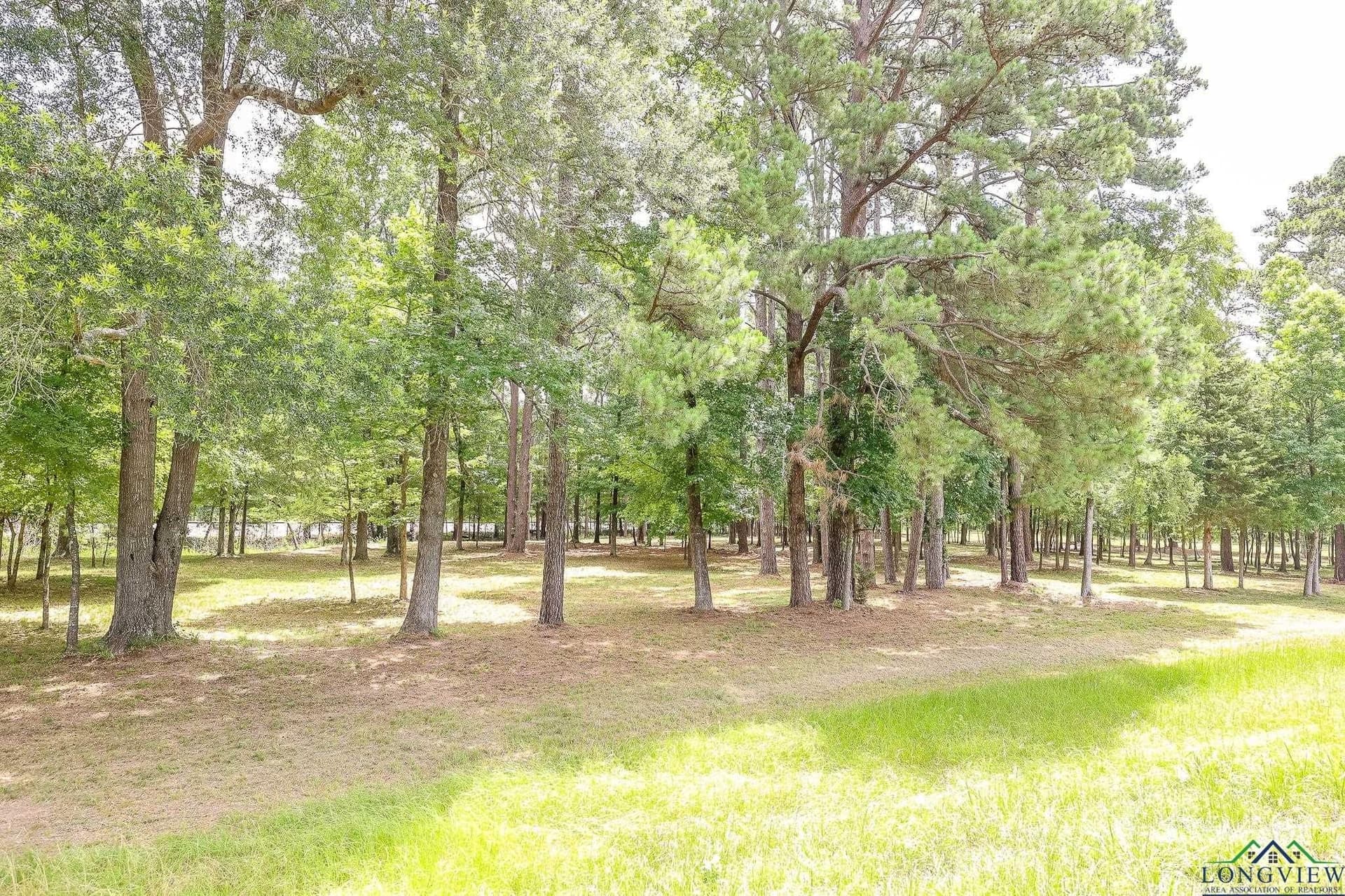 6 acres in Marion County - photo 4