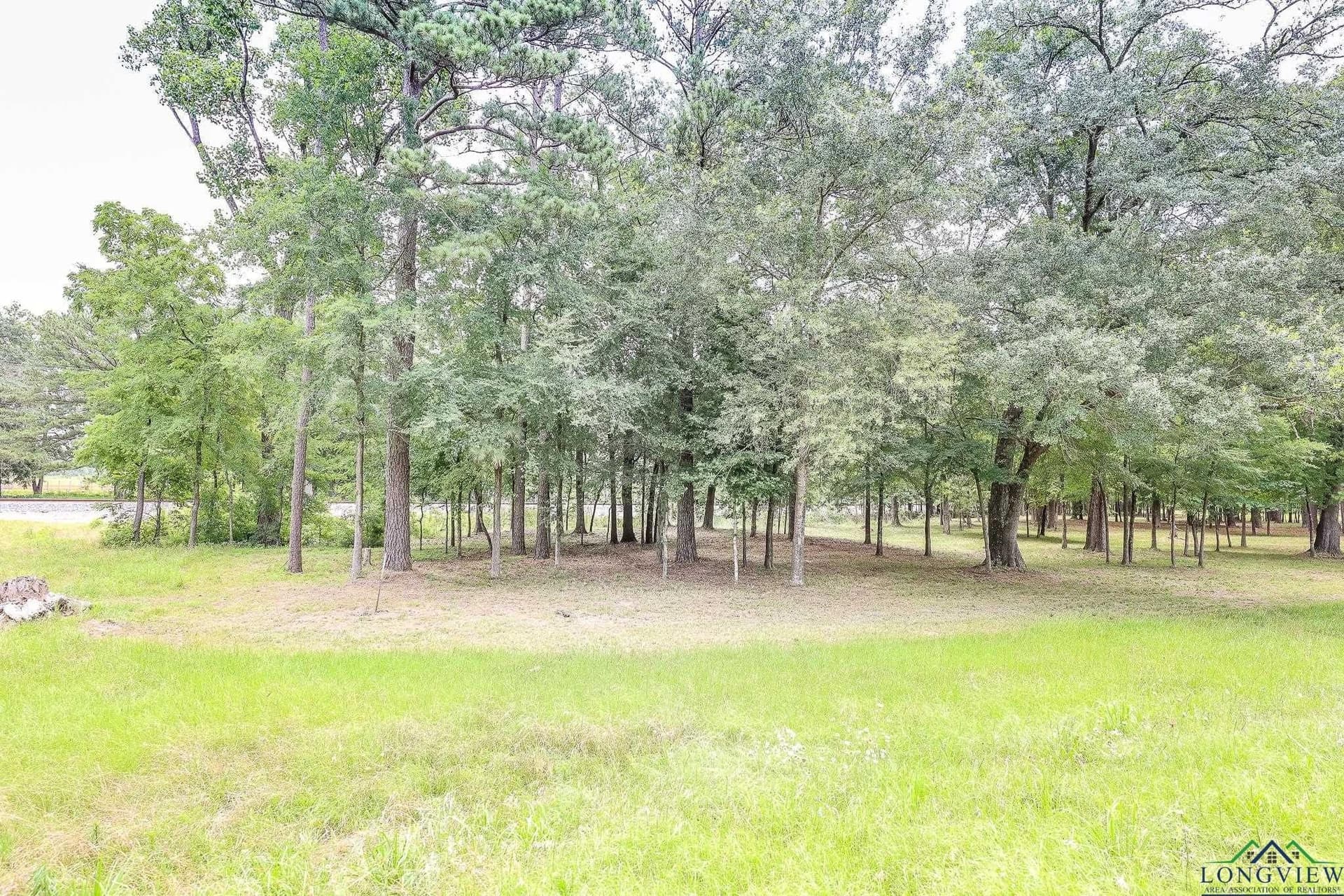 6 acres in Marion County - photo 2