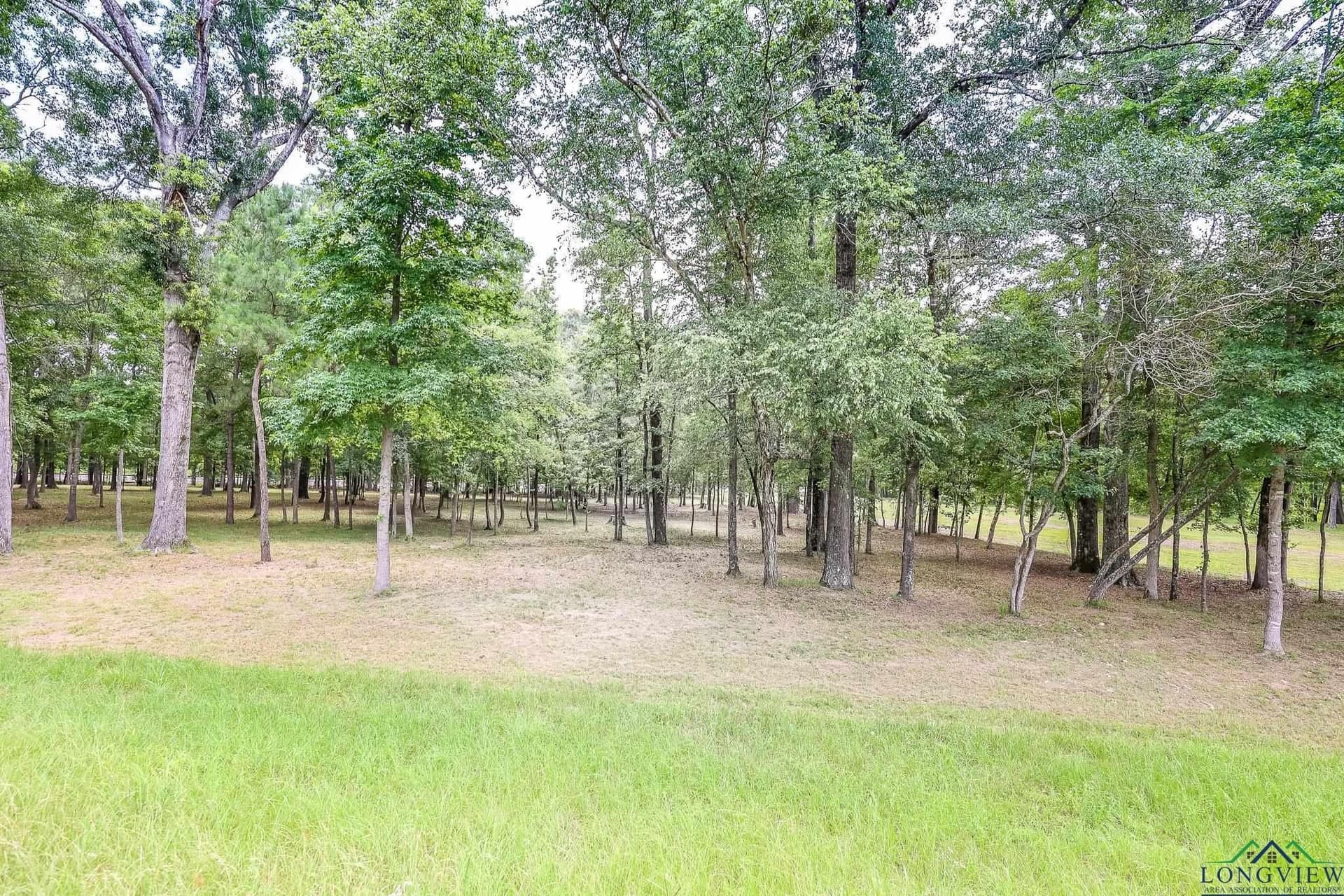 6 acres in Marion County - photo 7