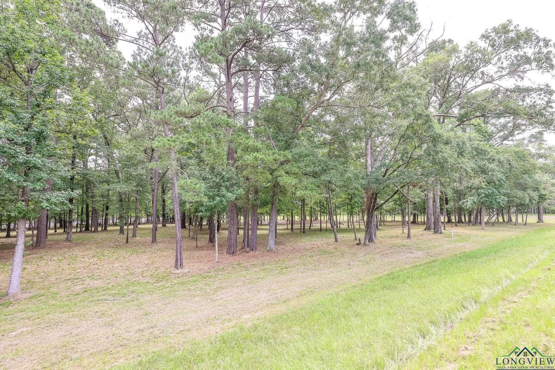 6 acres in Marion County - photo 5