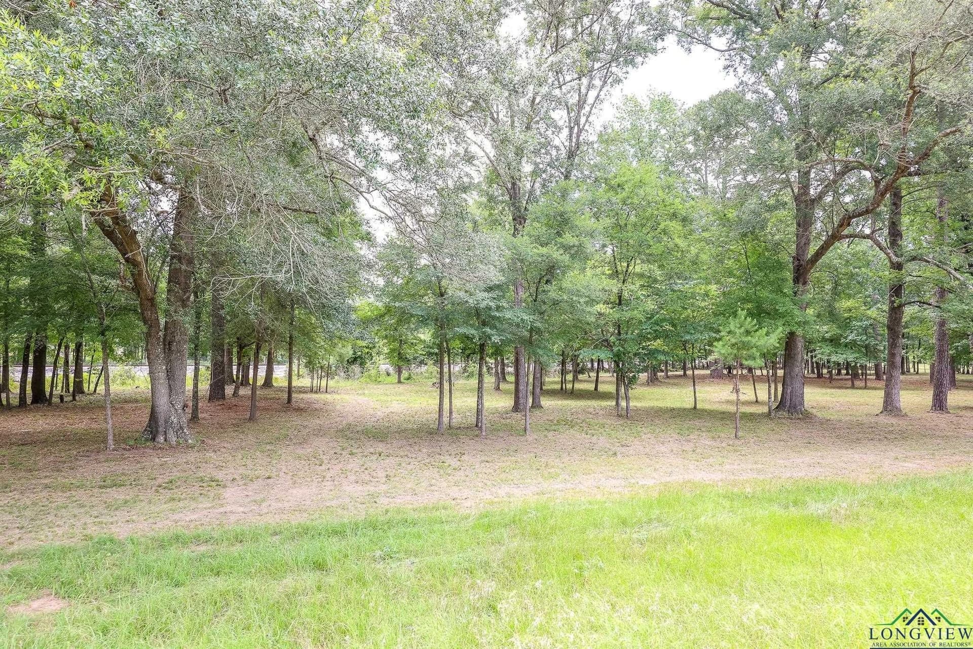 6 acres in Marion County - photo 3