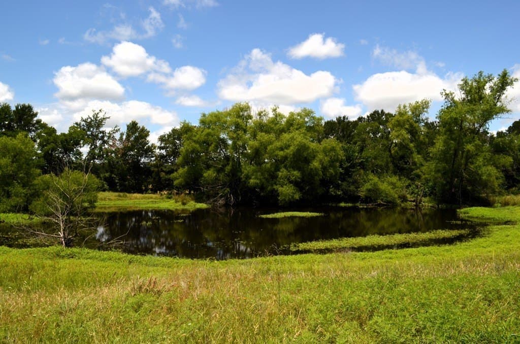 10 acres in Van Zandt County - photo 4